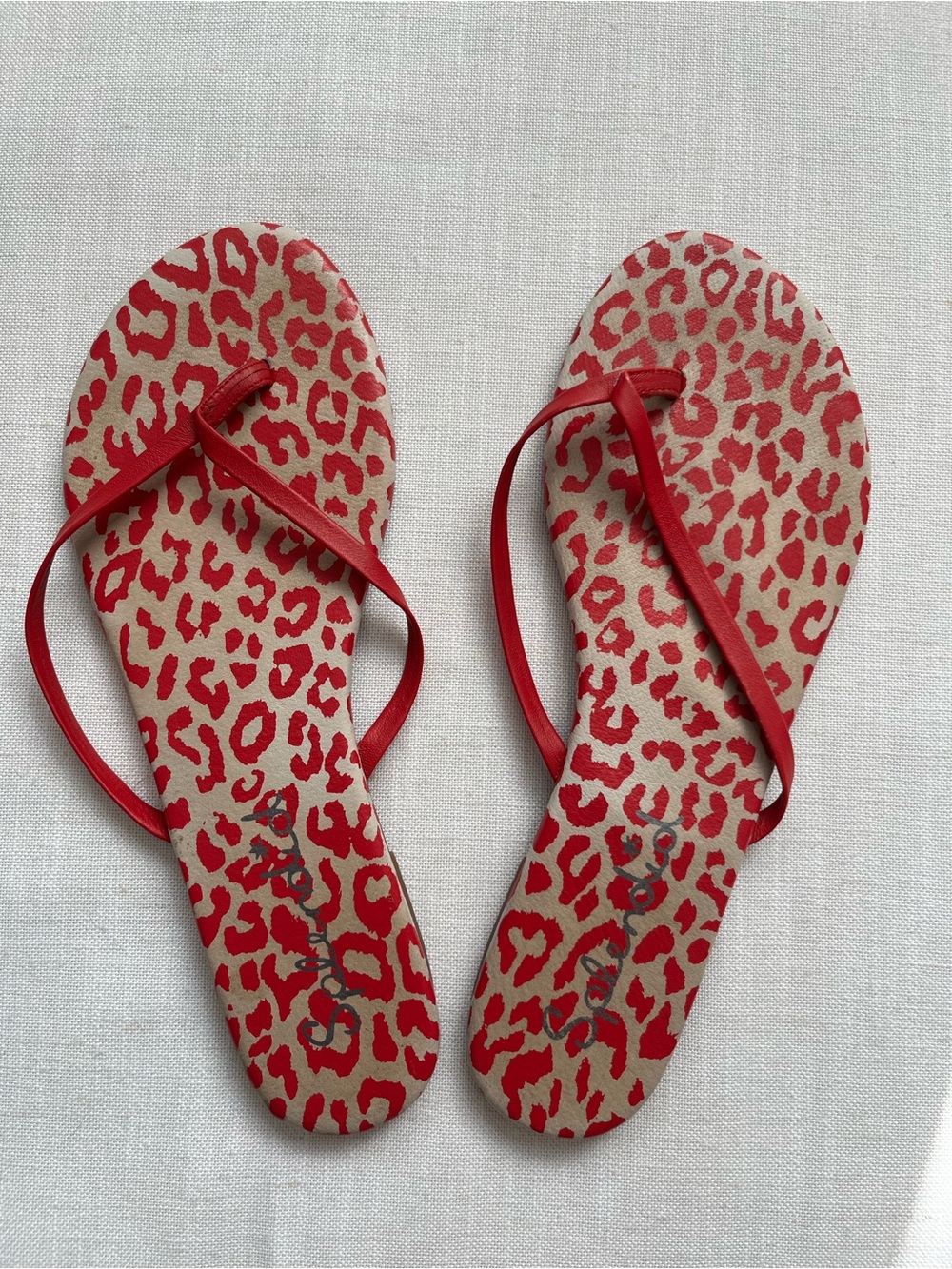 Splendid Red Leopard Print Women's Flip Flops